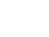 Surface Garnite & Marble - Francini Logo